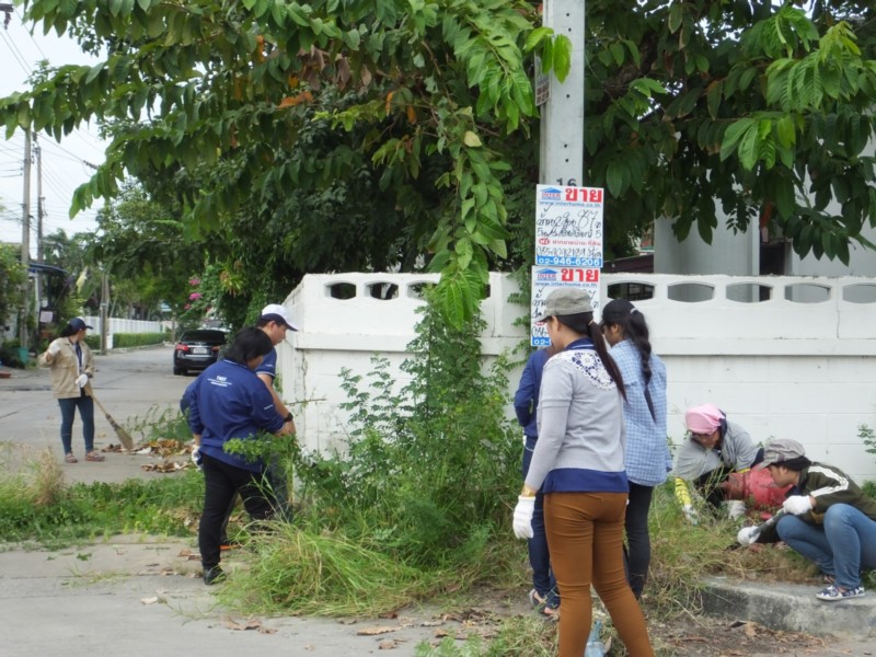 การคัดเลือก ประเมินและประเด็นที่มีนัยสำคัญ