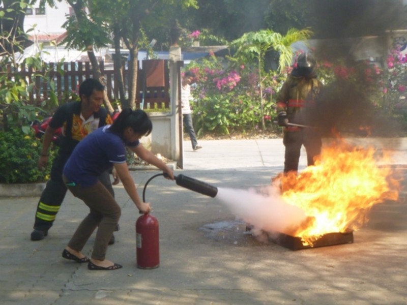 การคัดเลือก ประเมินและประเด็นที่มีนัยสำคัญ